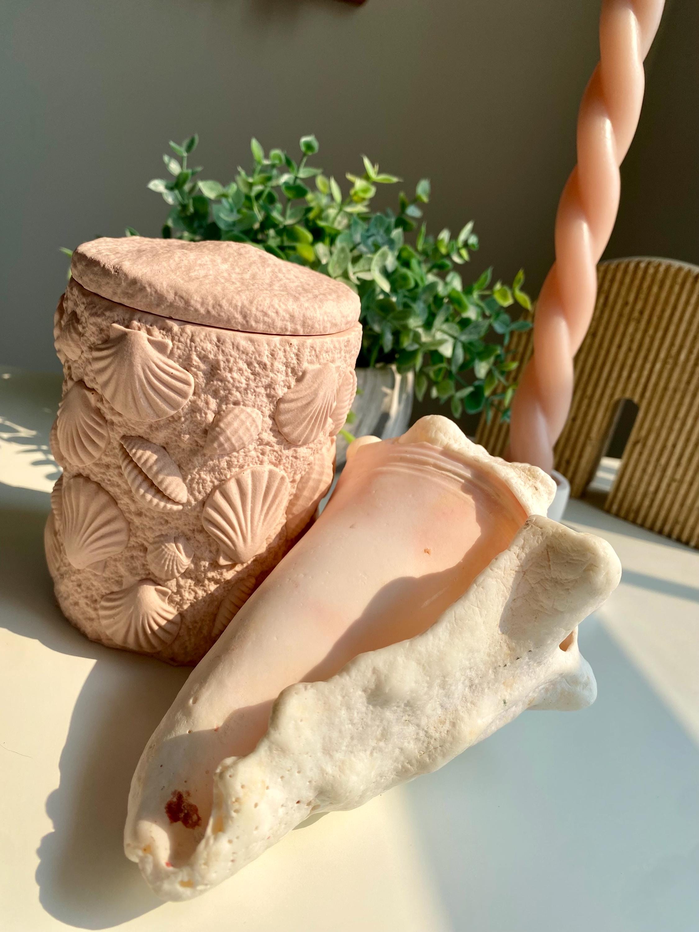 Seashell Lid Mineral Composite Storage Jar - Image 12